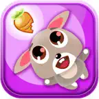 Rabbit's adventure iOS Icon
