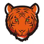 TIGERSECU HD VIEWER iOS Icon