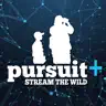 Pursuit+