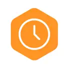 Bixpe Worktime Tracking icon