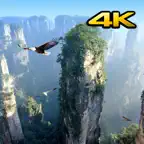 Background Videos 4K iOS Icon