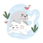 Seal Animated Stickers Pack iOS Icon