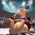 Ninja Punch Boxing Game iOS Icon