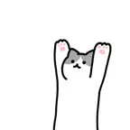 Air Kitty Icon