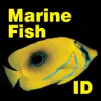 Marine Fish Maldives iOS Icon