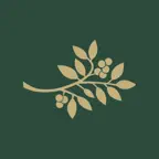 Airelles Collection Icon