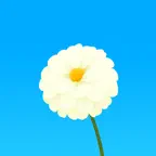 HDPix - Wallpapers for You iOS Icon