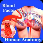 Human Anatomy Blood Facts 2000 iOS Icon