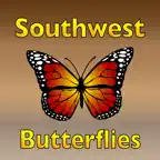 Butterflies of the Southwest iOS Icon