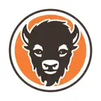 Wings and Rings - US Icon