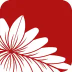 Tongan-English Dictionary icon
