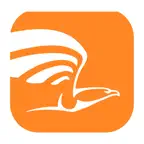 Açor Icon