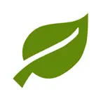 Arbre Nursery Icon