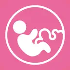 3D互動報告 icon