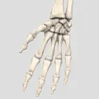 Hand Score iOS Icon