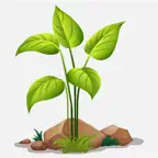 Affectionate Plants iOS Icon