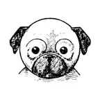 Drawy. Drawing step by step Icon
