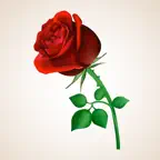 Animated Rose Day Stickers iOS Icon
