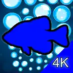 Aquarium 4K - Ultra HD Video iOS Icon