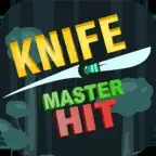 Knife Master Hit iOS Icon
