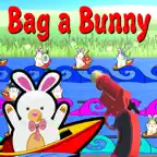Bag a Bunny Pro iOS Icon