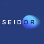 Seidor Parking Icon