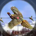Pheasant Bird Hunting Game 3D iOS Icon