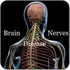 Brain and Nerves Disease iOS Icon