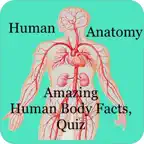 Amazing Human Body Facts, Quiz iOS Icon