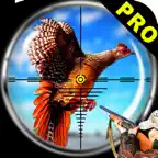 Pheasant Bird Hunting Pro iOS Icon