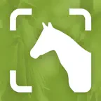 VES iD iOS Icon