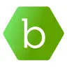 Beeline Contractor