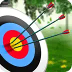 Archery Master Target Shooter iOS Icon