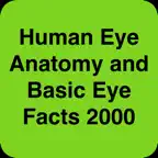 Human Eye Anatomy Fact,Quiz 2k iOS Icon