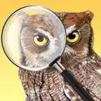 iBird Photo Sleuth iOS Icon