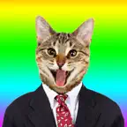Animated Cat Stickers . iOS Icon