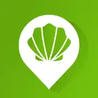 Wise Pilgrim Invierno Icon