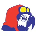 Island-Air iOS Icon
