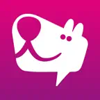 DogDict – Hundelehrvideos Icon