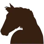 Horsekeeping iOS Icon
