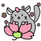 Chinchilla Minny 2 iOS Icon