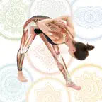 Anatomy & Yoga AR iOS Icon