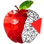 LoPoly –  Puzzle art game iOS Icon