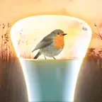 Hue Outdoor iOS Icon