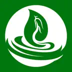 绿色金子 Icon