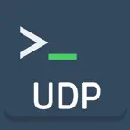 UDP Terminal iOS Icon