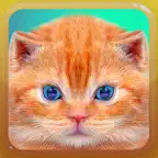Cat & Kitten Meow Sounds iOS Icon
