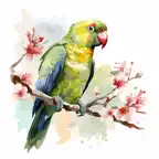 Watercolor Beautiful Birds iOS Icon