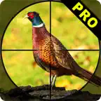 Pheasant Bow Hunting Pro iOS Icon