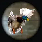 Duck Bird Hunting Game 2025 iOS Icon